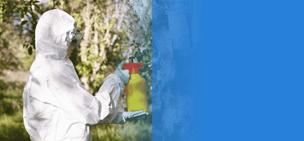 中山永盛是一家專業從事中山除甲醛、中山蟲害防治、中山滅白蟻公司