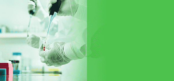 中山永盛滅白蟻公司被國家評定爲甲級資質企業