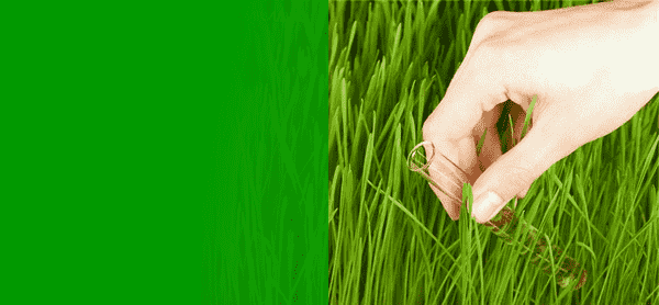 中山專業除甲醛、滅白蟻公司，保證人們的健康安全